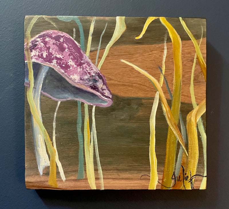 Toadstool Haven