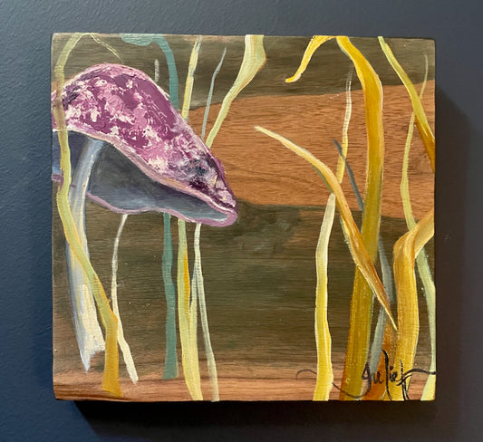 Toadstool Haven
